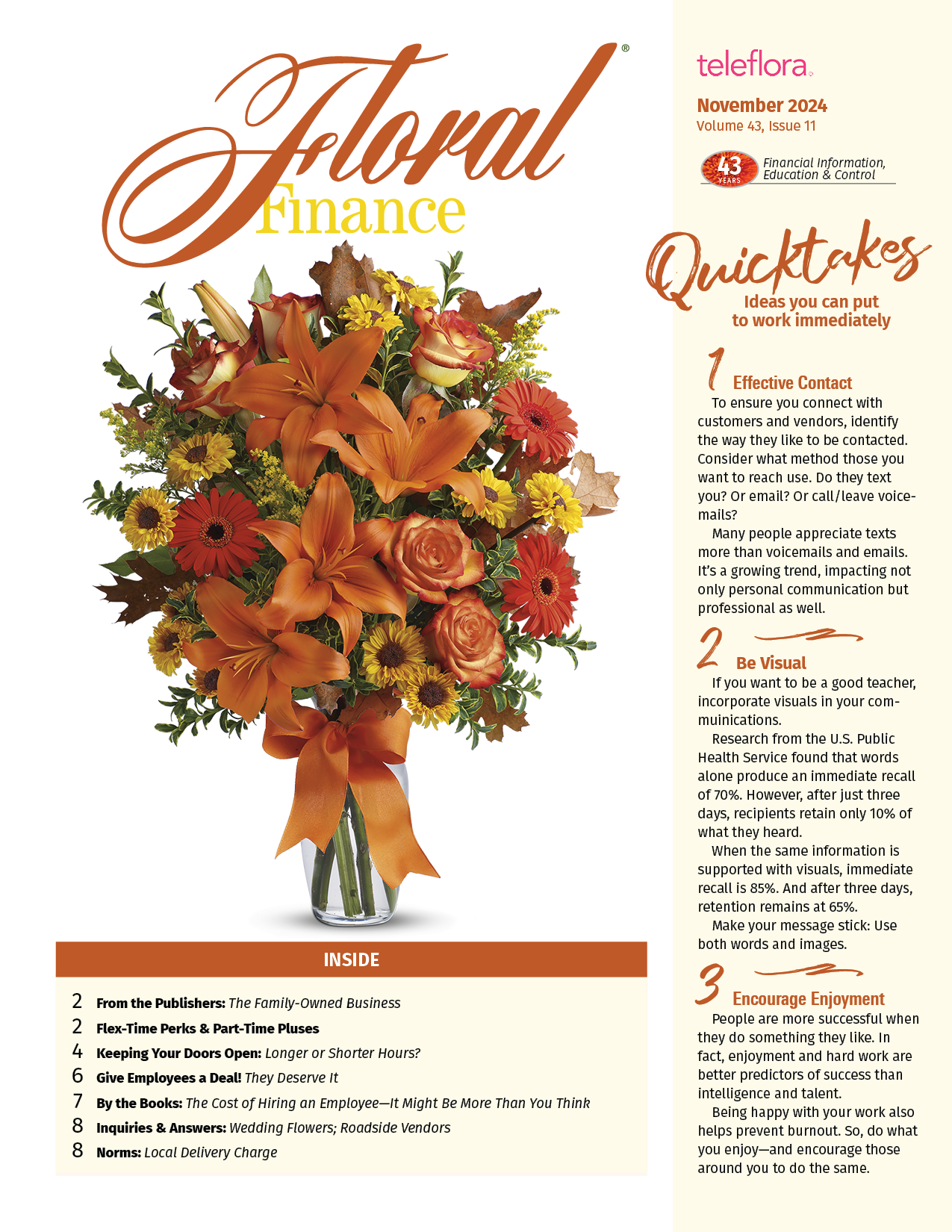 Main Portfolio Image